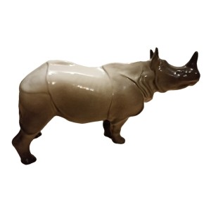 nosorozec-rhinoceros-lomonosov-galinex-spiewajacy-ogrod.jpg