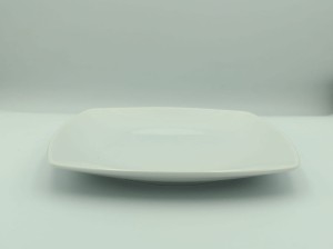 20250328_115752.jpg