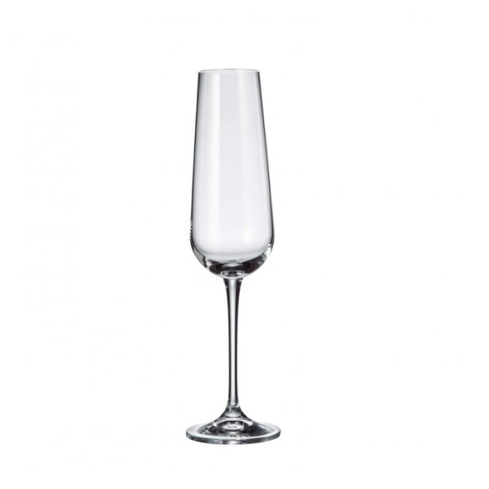 ARDEA / AMUNDSEN KIELISZKI DO SZAMPANA 220 ML KPL 6 SZT