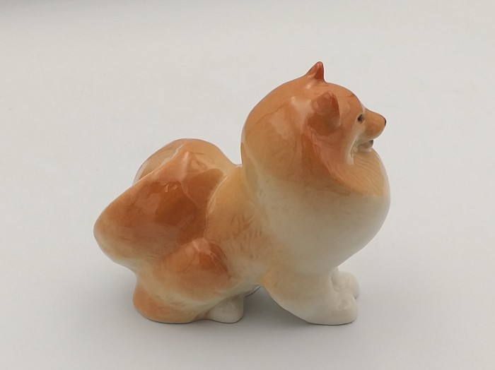 20260930_113052.jpg